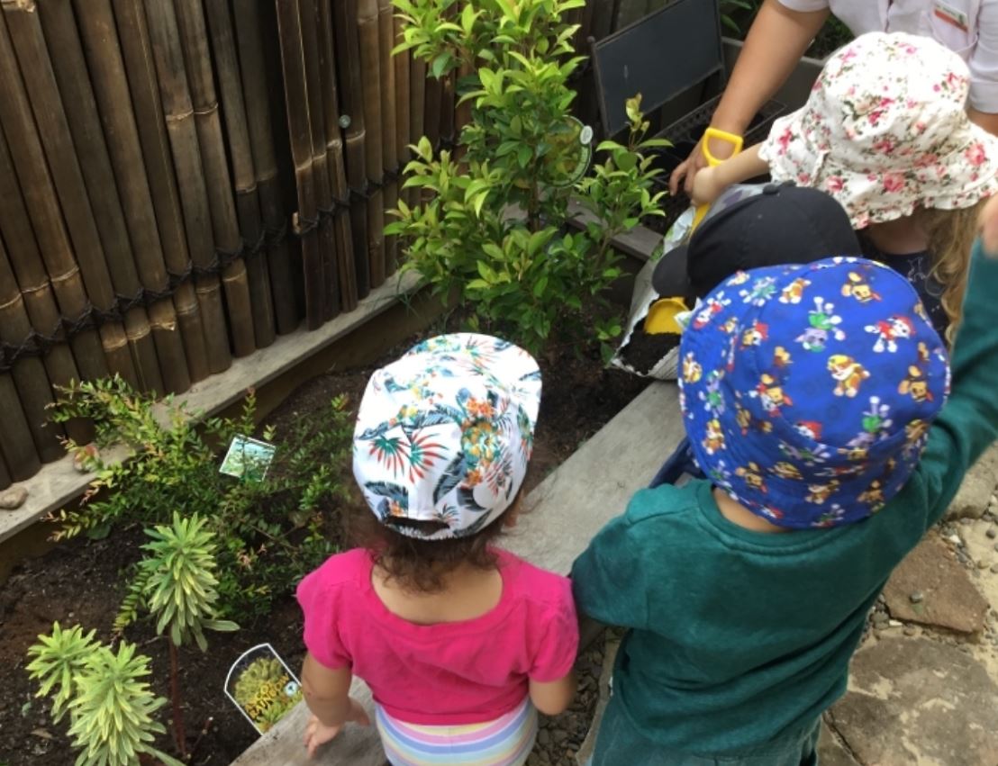 Learning Wonderland daycare  exceeding educational Program garden 